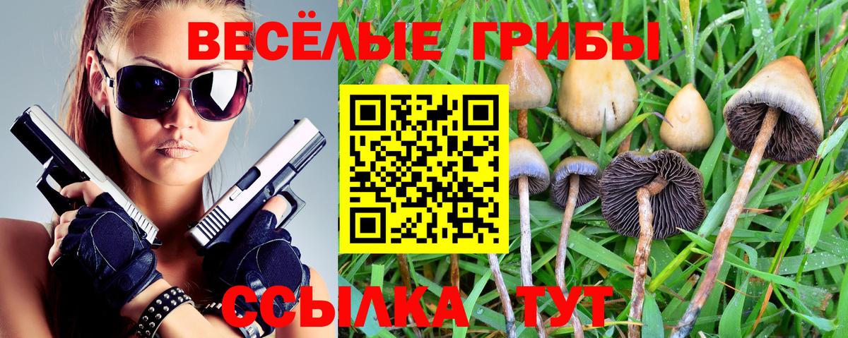 Людиново  Галлюциногенные грибы ЛСД  Вход с VPN 